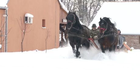 Snježna bajka iz Baranje (Foto: Dnevnik.hr) - 4