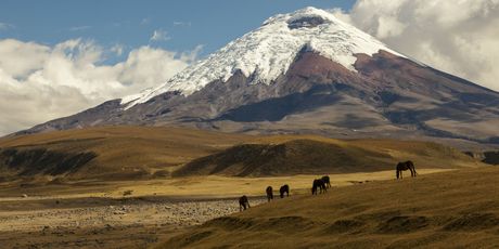 Vulkan Cotopaxi - 3