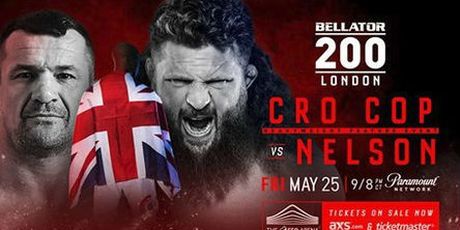 Cro Cop se trebao boriti protiv Nelsona u svibnju