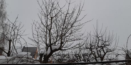 Samsung Galaxy A8(2018) (Foto: ZIMO)