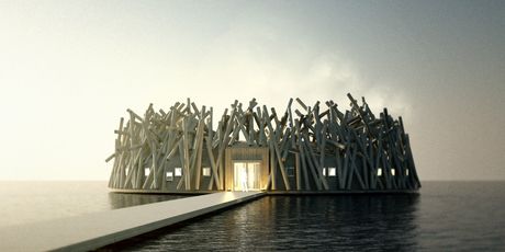 Arctic Bath - 4