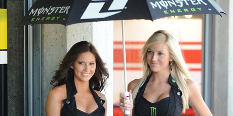 MotoGP grid djevojke (Foto: AFP)