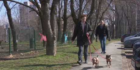 Trovanje pasa u Osijeku (Foto: Dnevnik.hr) - 4