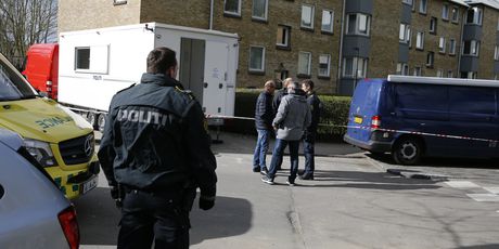 Danska policija, arhiva (Foto: AFP)