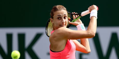 Petra Martić (Foto: AFP)