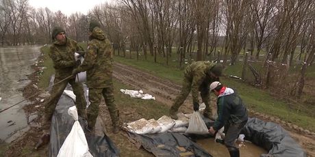 Vojska postavlja zečji nasip kod Jasenovca (Foto: Dnevnik.hr)