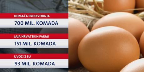 Više domaćih a manje uvoznih jaja (Foto: Dnevnik.hr) - 1