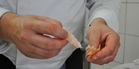 Rižoto od cikle s kvarnerskim škampima - 2