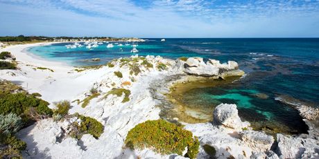 Rottnest - 1