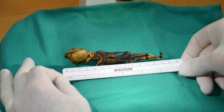 Patuljasta mumija pronađena u pustinji Atacama u Čileu (Foto: AFP) e