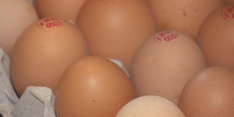 Kako prepoznati domaće jaje? (Foto: Dnevnik.hr) - 1
