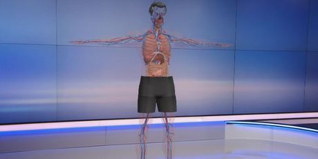 U ljudskom tijelu otkriven novi organ – intersticij (Foto: Dnevnik.hr)