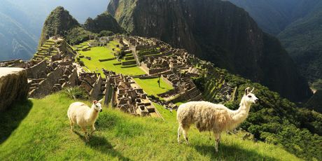 Machu Picchu - 1