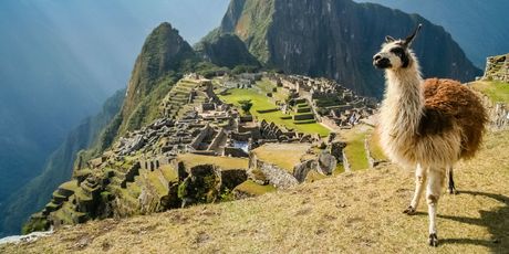 Machu Picchu - 2