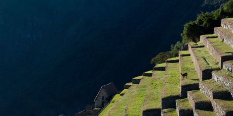 Machu Picchu - 4