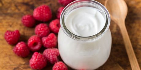 Jogurt
