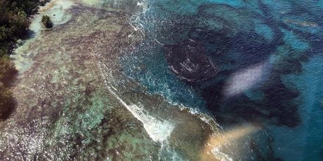 Nafta ugrožava Veliki koraljni greben  (Foto: AFP)