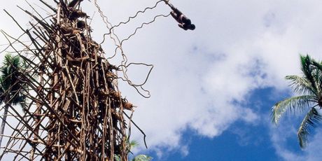 Bungee