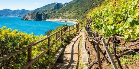 Cinque Terre, Italija - 1
