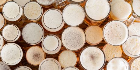 Pivo