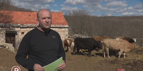 Poljoprivrednik Ivan Tešija (Foto: Dnevnik.hr)