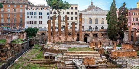 Largo di Torre Argentina - 1