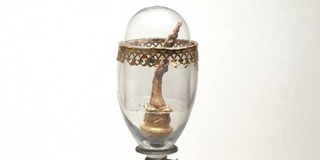 Galileo Galilei