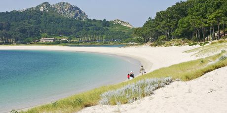 Cies