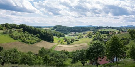 Weingarten-Resort - 4