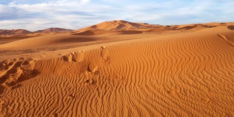 Sahara (Merzouga)