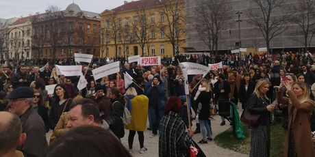 Prosvjed u Zagrebu (Foto: Dnevnik.hr) - 2