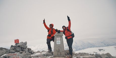 Sinjal
