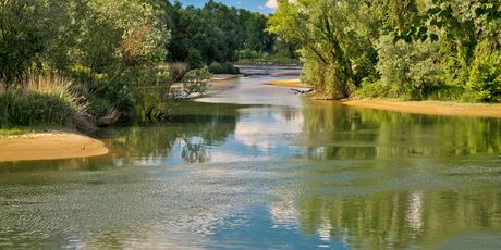 Drava