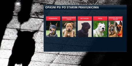 Opasni psi (Foto: Dnevnik.hr)