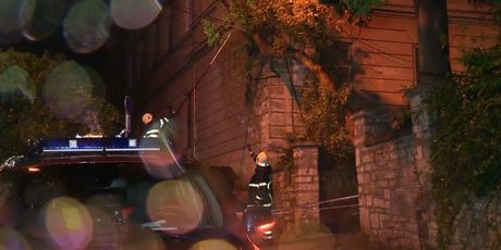 Vatrogasci režu granu u Karlovcu nakon nevremena (Foto: Dnevnik.hr) - 3