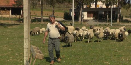 Uzgajivač ovaca Robert iz sela Mače (Foto: Dnevnik.hr)