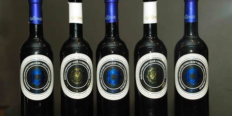Vina Gašpar - 1