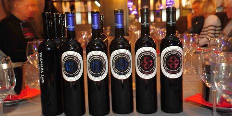 Vina Gašpar - 4