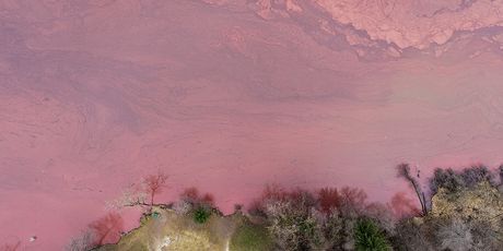 Bled - 2