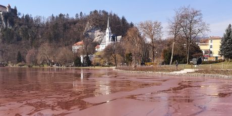 Čišćenje jezera
