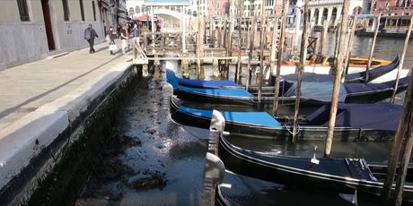 Niska razina vode u venecijanskim kanalima - 3