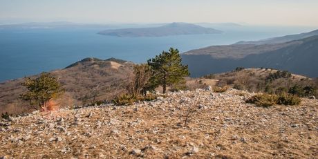 Od Učke do Bjelolasice - 18
