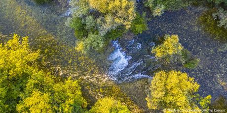 Cetina