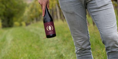 Vinarija Jakovac - 13