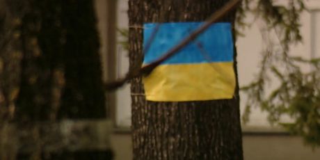 Boje Ukrajine - 5