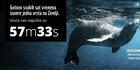WWF Adria - 2