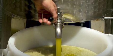 Maslinovo ulje - 2