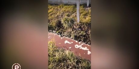 Ekološki problem na periferiji Zagreba - 10