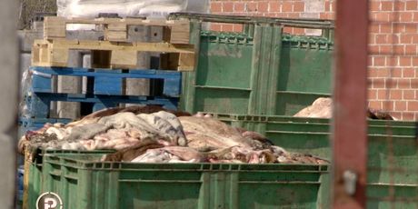 Ekološki problem na periferiji Zagreba - 13