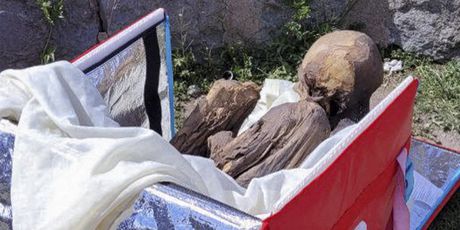 Policija pronašla mumiju